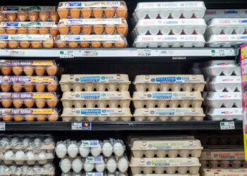 Largest U.S. Producer of Eggs Sees 718 Percent Profit Due to Rising Prices