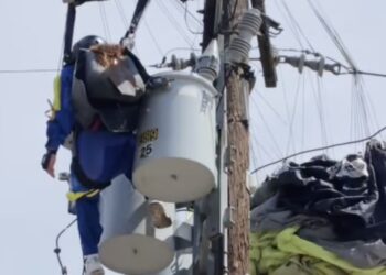California Skydiver Rescued by Firefighters After Getting Tangled Up in Power Lines