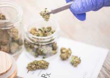 Kentucky Gov. Signs Medical Marijuana Bill Into Law