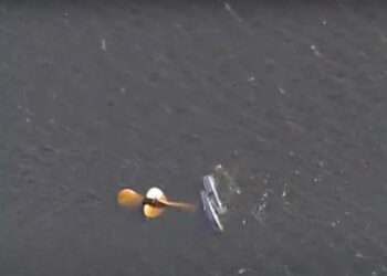 Four Dead in Florida After Two Small Planes Collide Over Lake