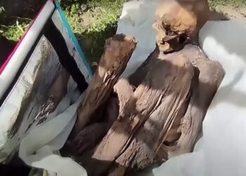 Man Arrested After Being Found With Ancient Mummy He Referred to as ‘Spiritual Girlfriend’ Named Juanita