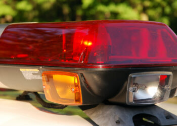 Man Dies After Jumping Out of Stolen Squad Car in Police Chase