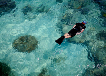 Couple Claims They Had to Swim to Shore After Honeymoon Snorkeling Tour Group Abandoned Them, Lawsuit Filed