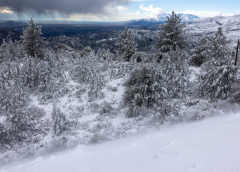Stranded Teen Hikers Thought They Were ‘Going to Die’ Before Being Rescued in Extreme California Snow