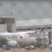 Investigation Launched After Death of American Airlines Worker Who Accidentally Drove Into Jet Bridge