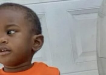 Florida Father Charged With Murder After Body of Missing 2-Year-Old Son Found in Alligator