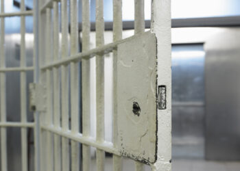 Mississippi Woman Facing Charges After Posting Videos of Herself Having Sex With Dog