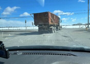 Watch: Rats Keep Falling Out Of A Moving Truck in Ottawa
