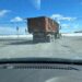 Watch: Rats Keep Falling Out Of A Moving Truck in Ottawa