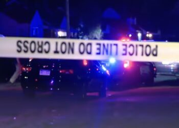 Wrong Pizza Delivery in Detroit Neighborhood Results in Shootout