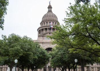 Texas House Advances CROWN Act That Would Ban Natural Hair Discrimination