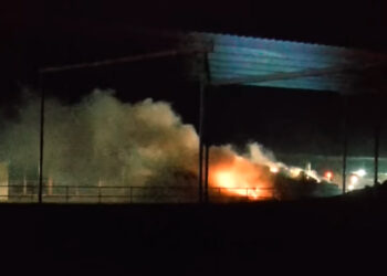 Around 18,000 Cattle Killed and 1 Person Injured After Explosion at Texas Dairy Farm