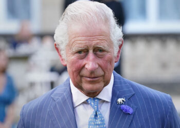 Pranksters Mow Giant Penis in Lawn of King Charles’ Coronation Party