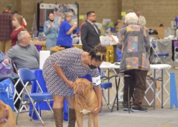 Police Find 21 Dead Dogs, Dozen Malnourished Puppies in ‘Disturbing’ Scene at Home of Breeder and Trainer