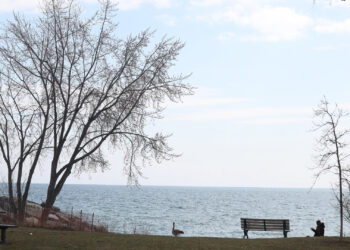 Remains of Man Who Went Missing 40 Years Ago Found in Lake Ontario