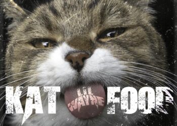 Lil Wayne Drops “Kat Food” Single