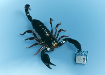 Miguel Connects With Lil Yachty On “Number 9” Single