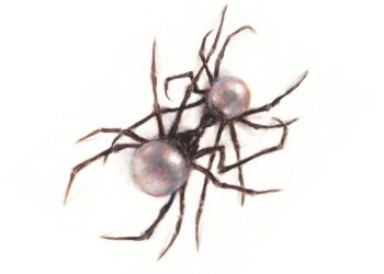 Doja Cat Unveils Fourth LP, ‘Scarlet’