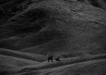 NxWorries [Anderson .Paak & Knxwledge] Share ‘Why Lawd?’ Tracklist, Features